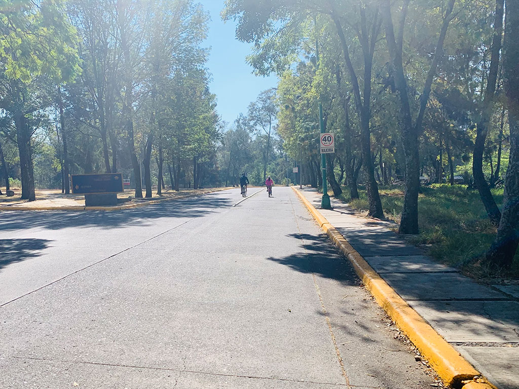 Ciudad Universitaria en bici