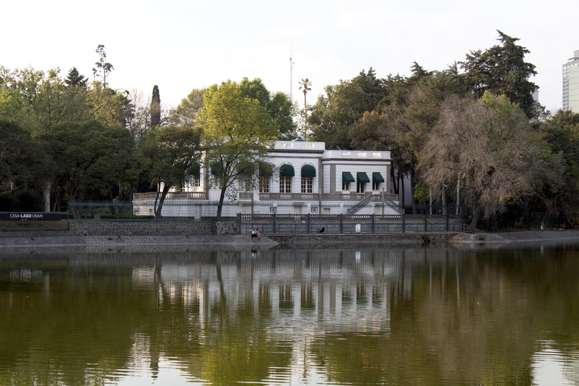 POR AHÍ RODANDO: BOSQUE DE CHAPULTEPEC - Cycle City México