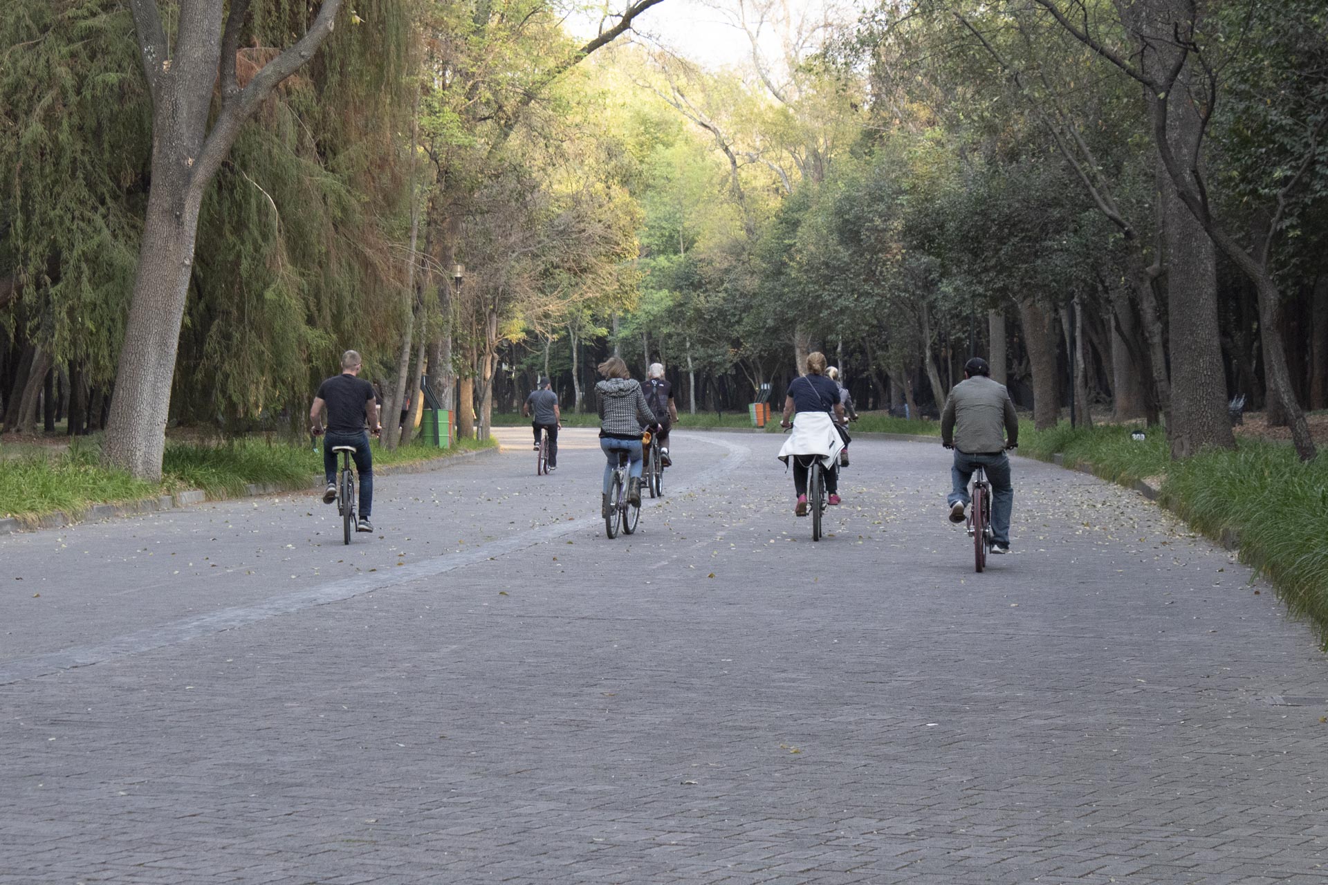 Recorrido por la Colonia Lomas de Chapultepec 