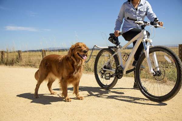 dog cycle leash