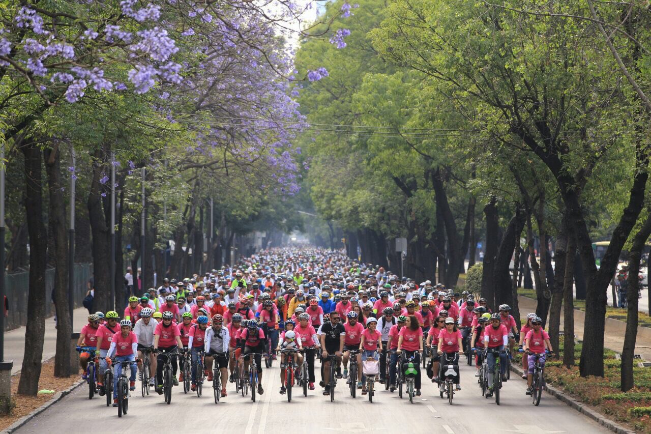 Día mundial de la bicicleta 4